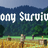 Colony Survival